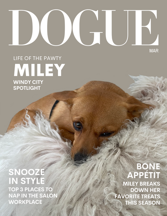 Custom Dogue Magazine Cover - Pet Portrait